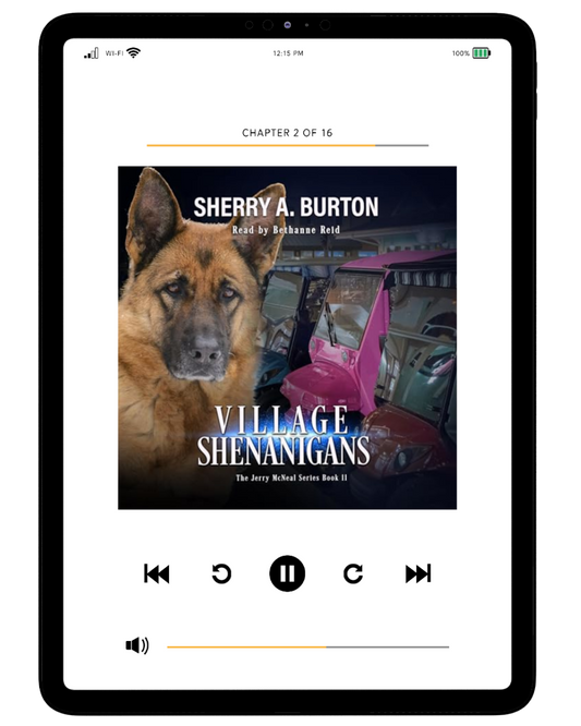 VILLAGE SHENANIGANS AUDIOBOOK