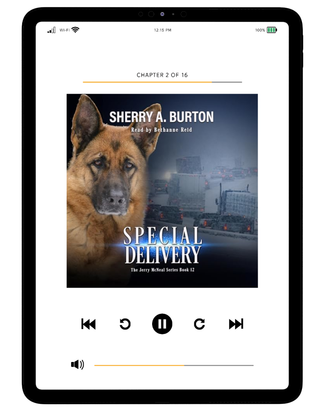 SPECIAL DELIVERY AUDIOBOOK