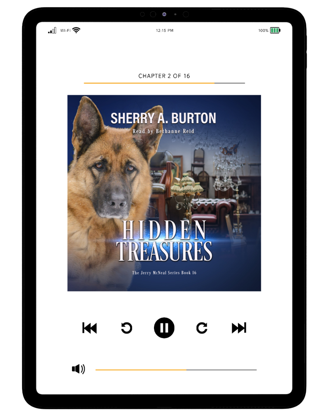 HIDDEN TREASURES AUDIOBOOK