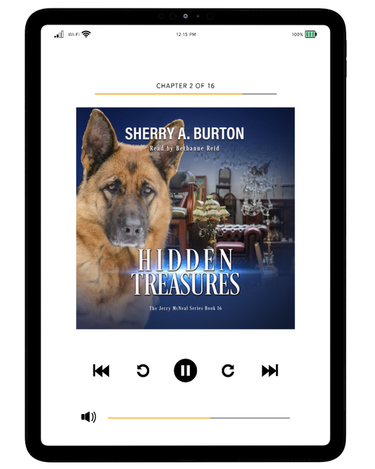 HIDDEN TREASURES AUDIOBOOK