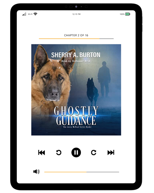 GHOSTLY GUIDANCE AUDIOBOOK