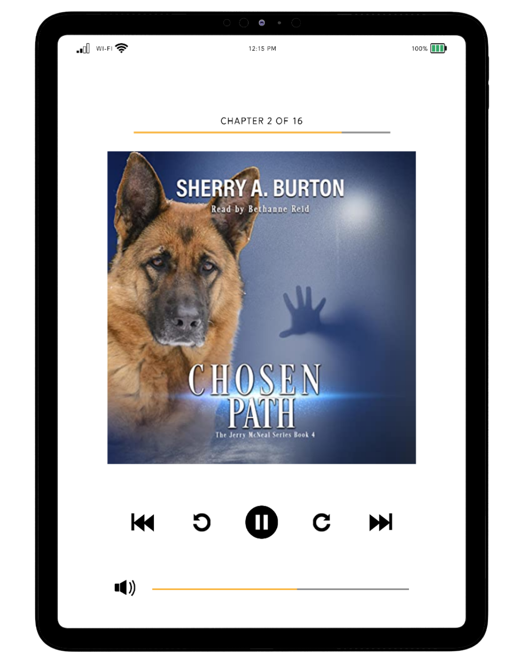 CHOSEN PATH AUDIOBOOK