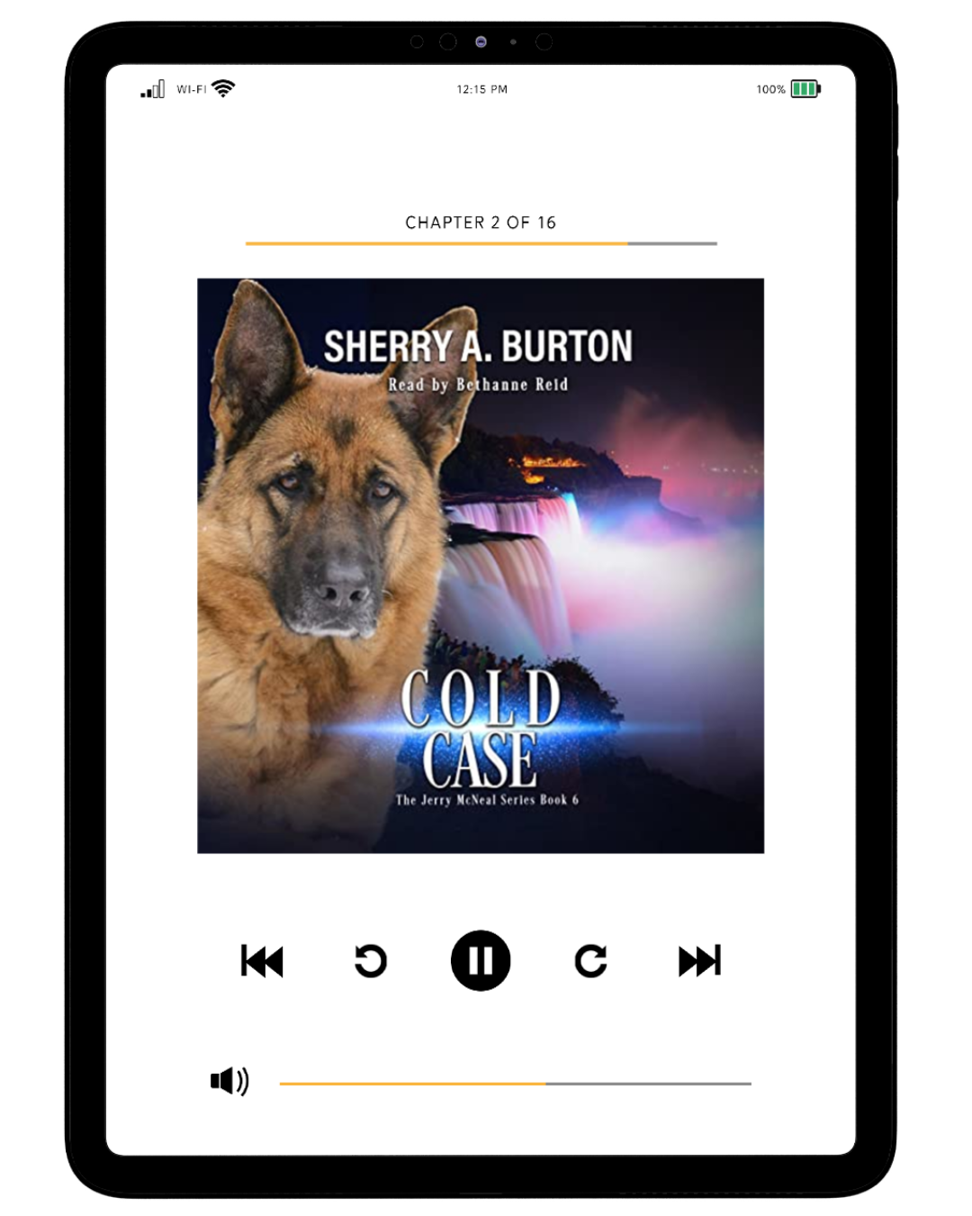 COLD CASE AUDIOBOOK