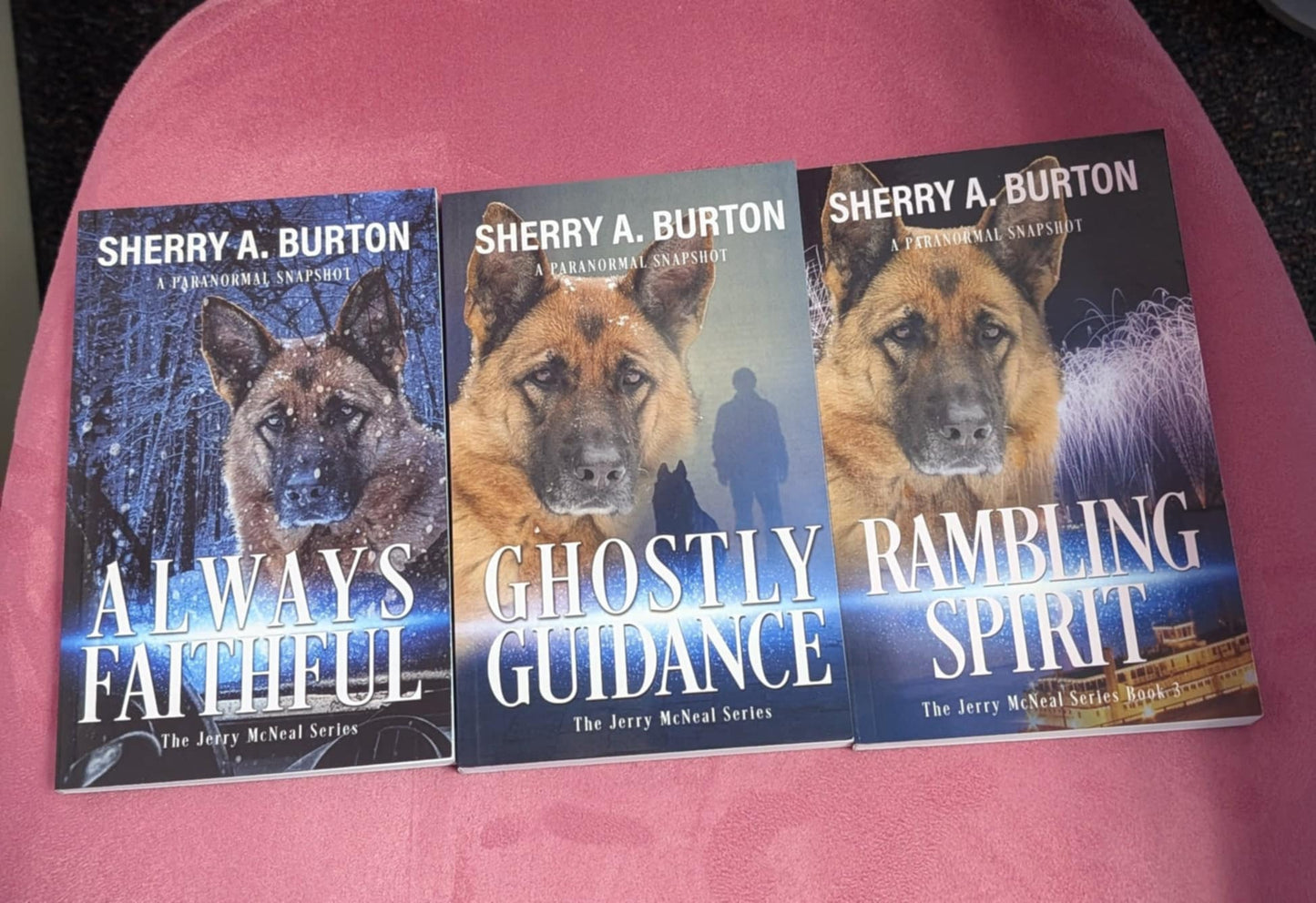 Jerry McNeal Series Starter set Books 1-3