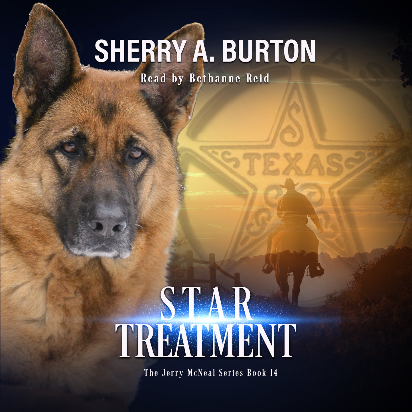 Star Treatment (Book 14)