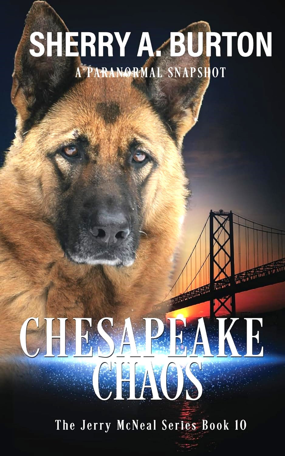 Chesapeake Chaos (Jerry McNeal Series) Book Ten (Autographed Copy)