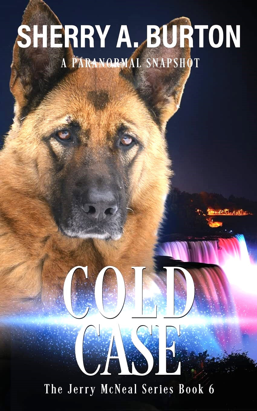 Cold case (Jerry McNeal Series) Book Six (Autographed Copy)
