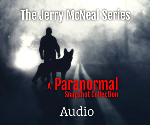 The Jerry McNeal Audio Series