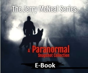 The Jerry McNeal Series in E-Book