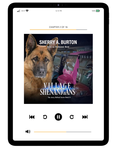 VILLAGE SHENANIGANS AUDIOBOOK