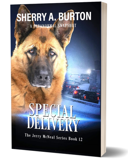 THE JERRY MCNEAL SERIES BOOKS 10-12 3-BOOK BUNDLE