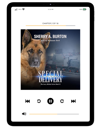 SPECIAL DELIVERY AUDIOBOOK