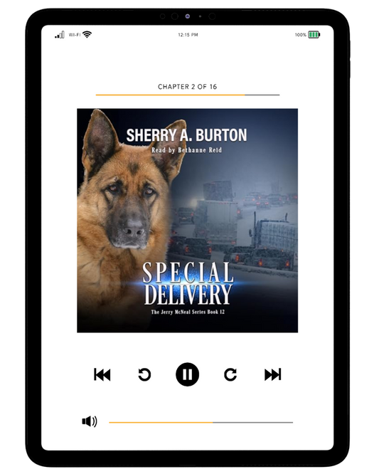 SPECIAL DELIVERY AUDIOBOOK