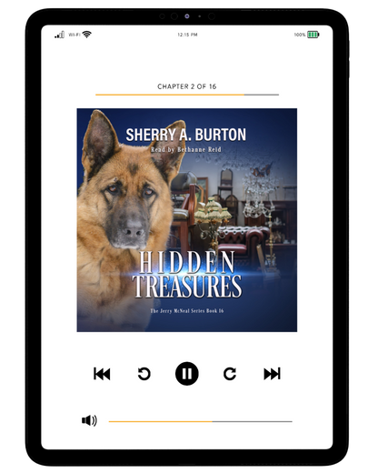 HIDDEN TREASURES AUDIOBOOK