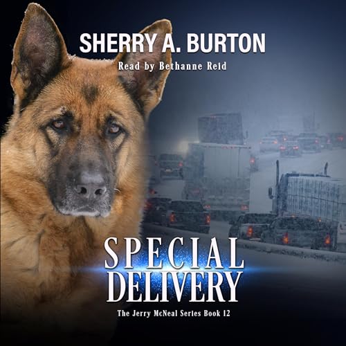 Special Delivery (Book Twelve)