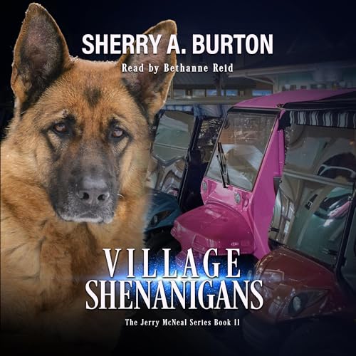 Village Shenanigans (Book Eleven)