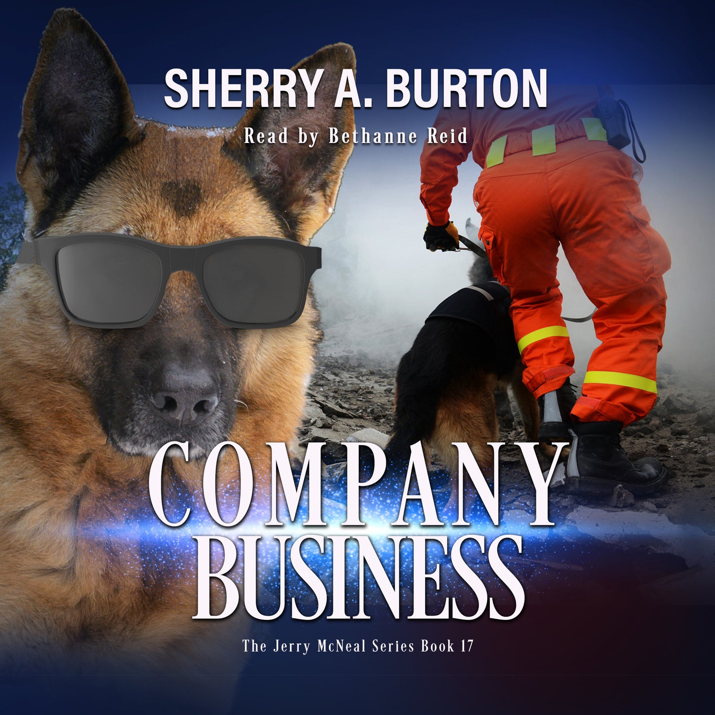 Company Business Book 17