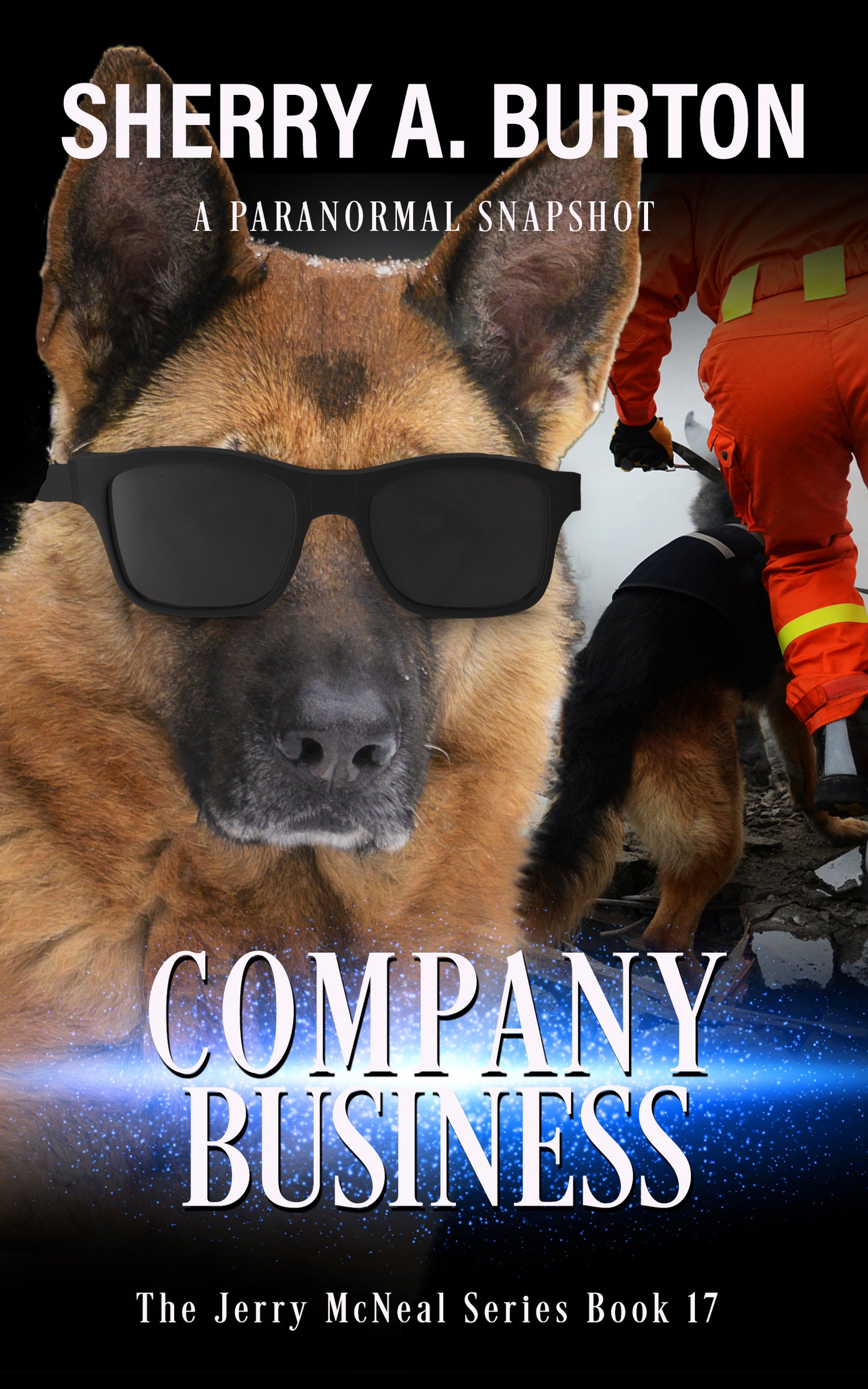 Company Business, The Jerry McNeal Series book 17  (autographed Paperback) New Release * product will ship when I receive my author copies*