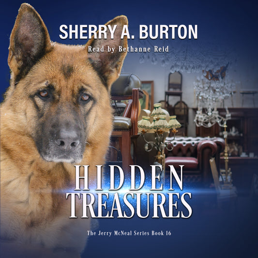 Hidden Treasures Book 16