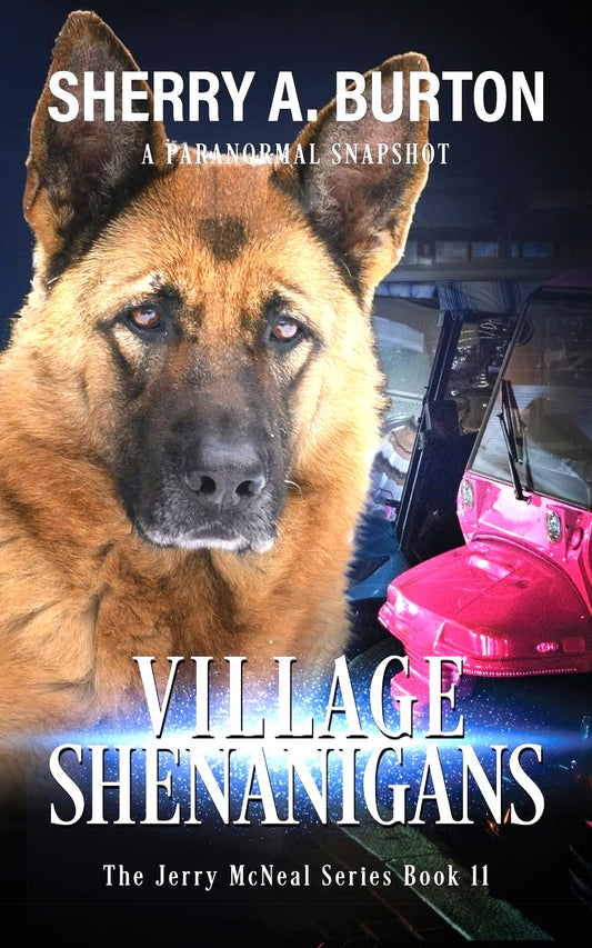 Village Shenanigans (Jerry McNeal Series)   Book Eleven (Autographed Copy)