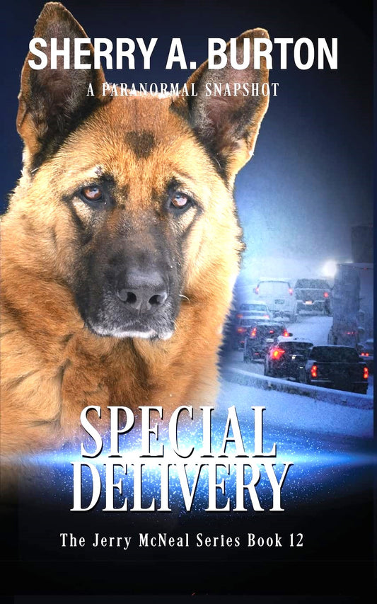 Special Delivery (Jerry McNeal Series)   Book Twelve (Autographed Copy)