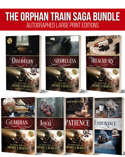 Image of the 7 books in the Orphan Train Saga Bundle
