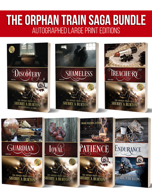 Image of the 7 books in the Orphan Train Saga Bundle